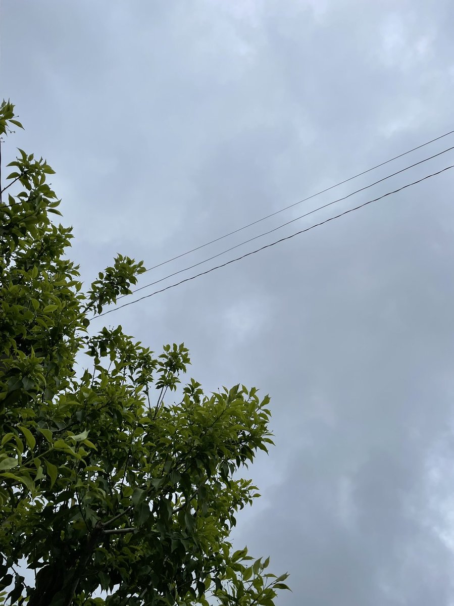 どんよりと暗い空だけど、雨は上がったみたい。さぁ、歩こう💪