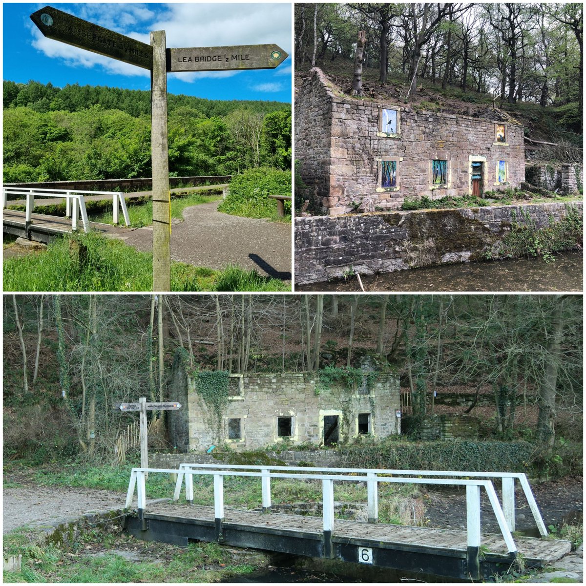 Gillian Foxcroft tweet media