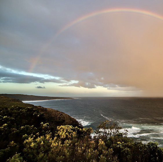 LifeIASC's tweet image. Running my first ultra on my new hip!

"Last Saturday, some 11 months since having a full hip replacement, I completed the Race The Tide “long-marathon”, my first ‘ultra’ on my new right hip 😊"

Read it in full; lifeisasinecurve.com/2022/05/27/run…