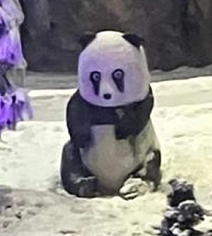 pand_ashh's tweet photo. My friend's sister saw a cursed panda and I just had to draw it on stream tonight x'DD It's super cute ahha. If you decide to #dtiys, TAG ME :D I'd love to see it! hehe
#cursedPanda #cutePanda #PandaDoodle #PlottingAMuRDeRPanda #drawthisinyourstyle #pandaChallenge https://t.co/ROLvt1yQV0