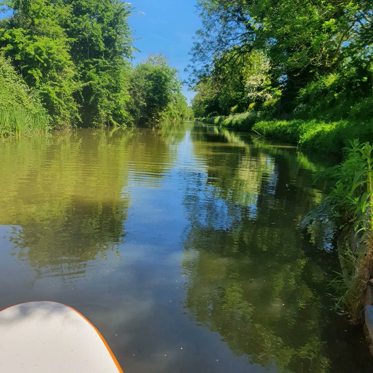 OneDeadBrit's tweet image. Have a beautiful weekend everyone x