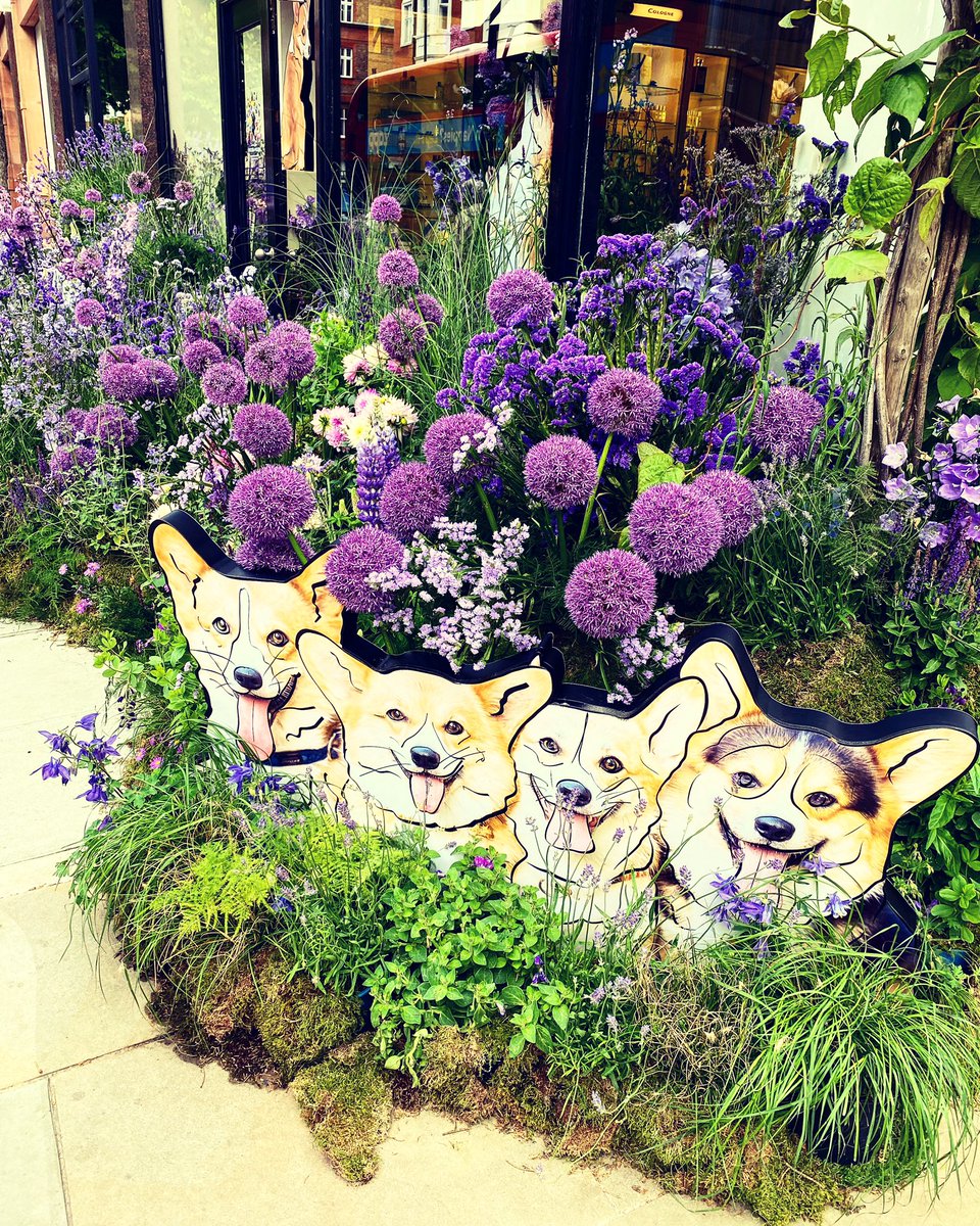 This spells happy Friday in so many ways 🌸 #chelseaflowershow #chelseainbloom