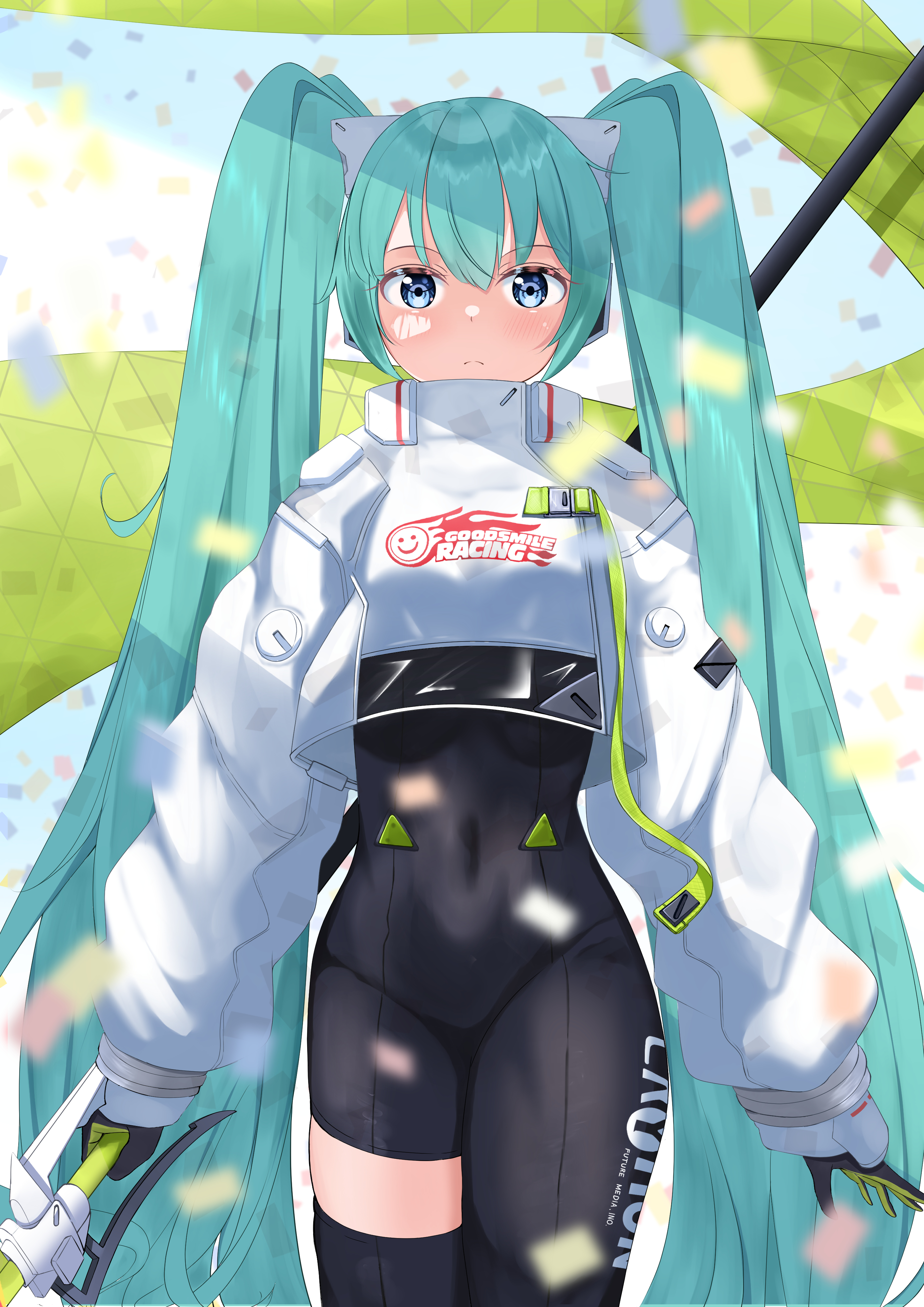生まれのブランドで レーシングミク チーム右京 初音ミク レーシング