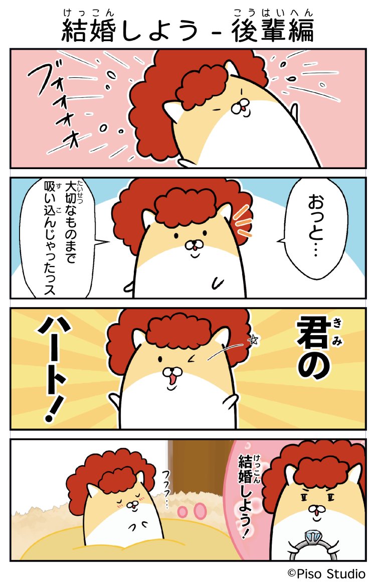 ヤンキーハムスター 公式 Yankeehamsters Twitter