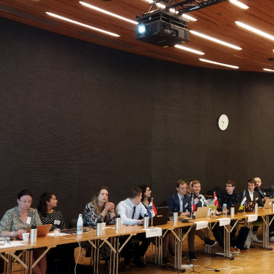 The #EJD Spring Meeting - General Assembly 2022 has officially started today in #Helsinki, #Finland, hosted by the Finnish #JuniorDoctors. For the next 2 days, delegates from all over #Europe will be discussing and exchanging views and experiences on various issues of interest!