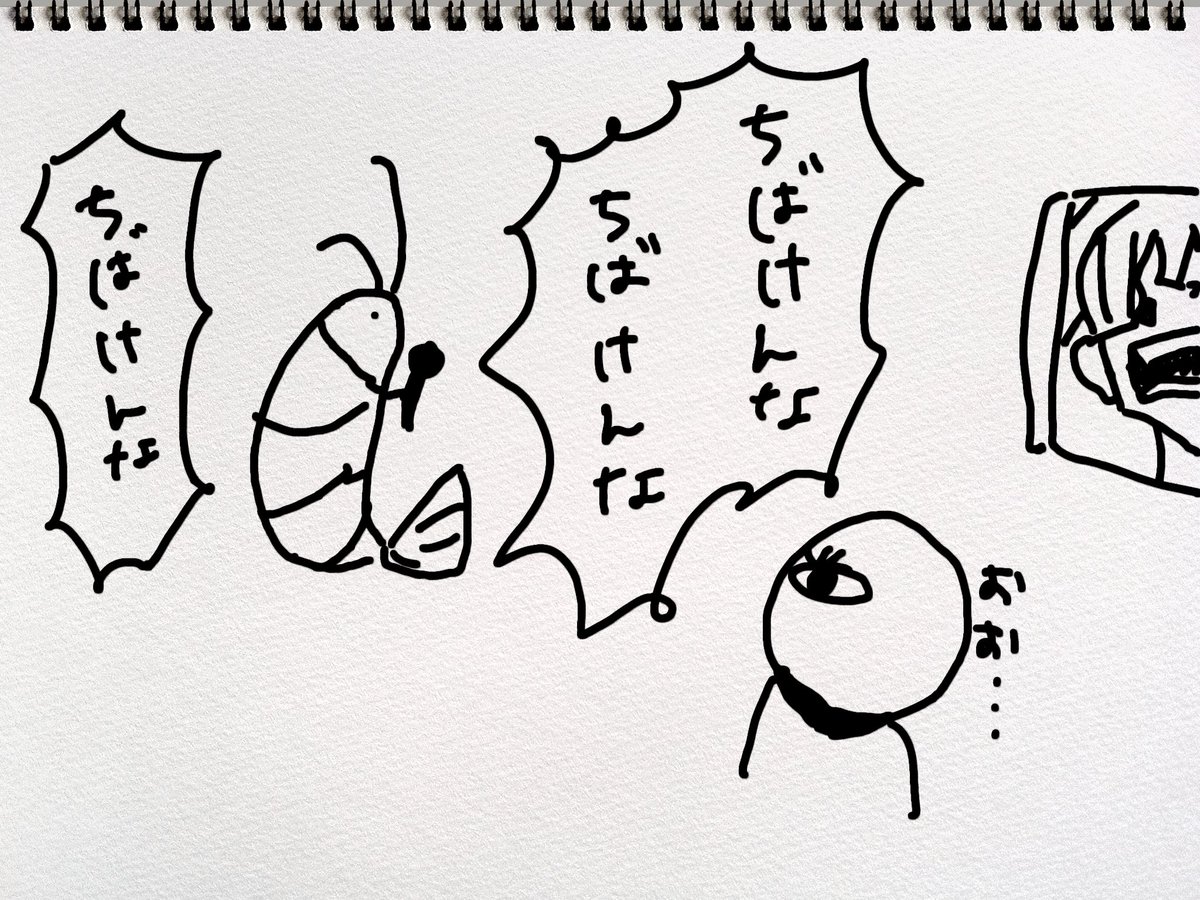 昨日のハイライト 