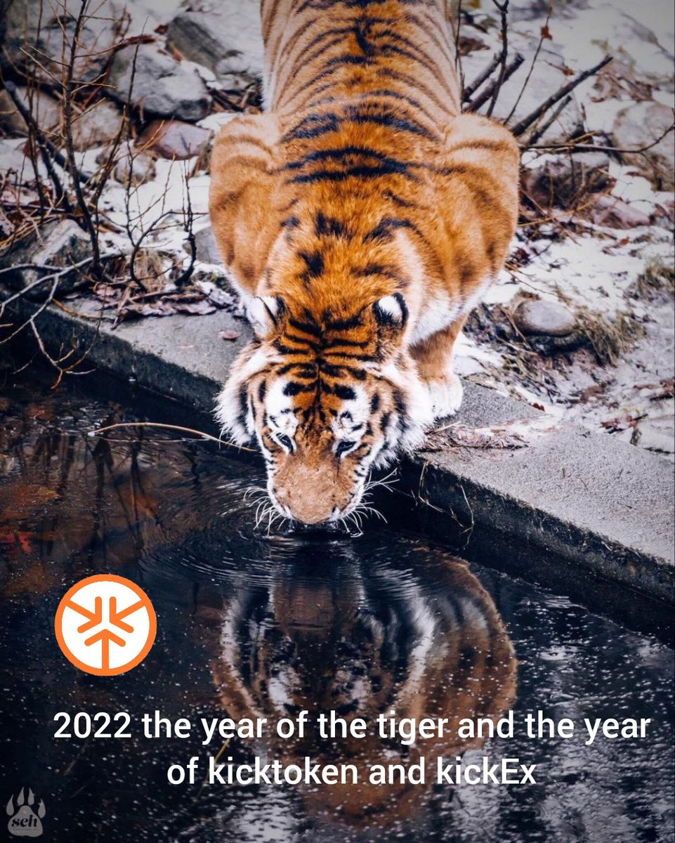 Magnat_dollar's tweet image. #kicktoken $kicktoken just like this tiger gaining strength before jumping
#2022year #Crypto #KuCoin