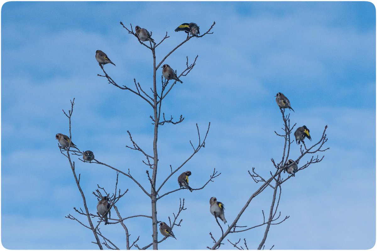 Omer🪶📷 tweet media