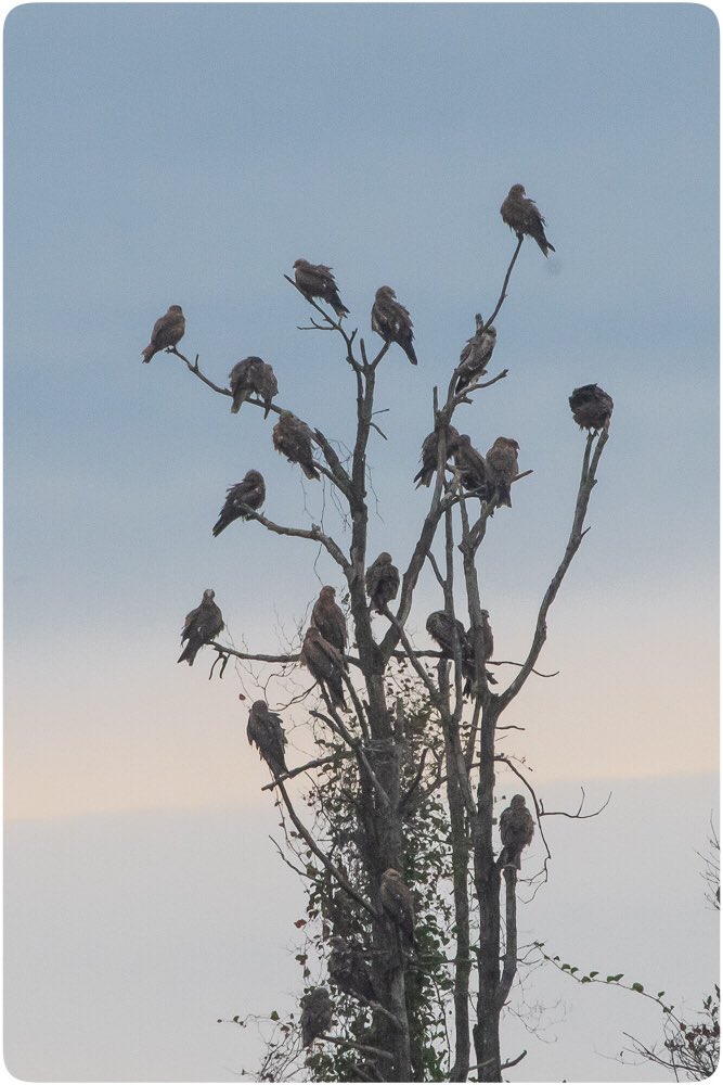 Omer🪶📷 tweet media