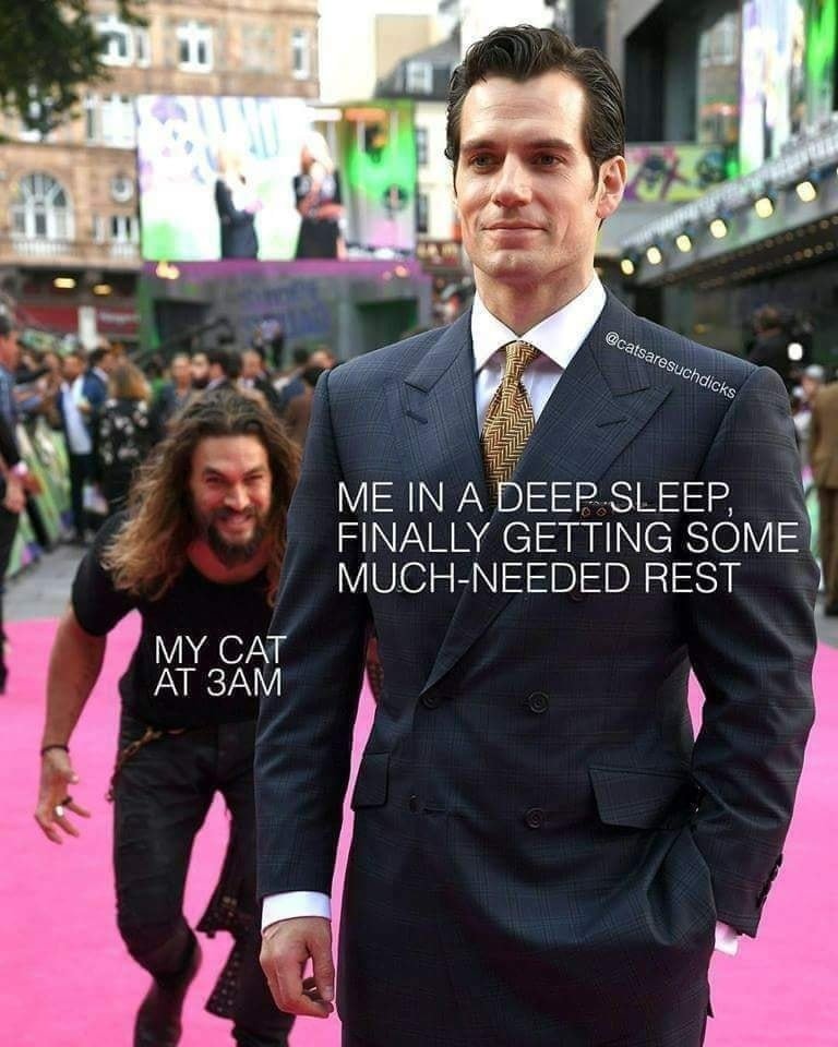 gibby (@gibbythememer) on Twitter photo 