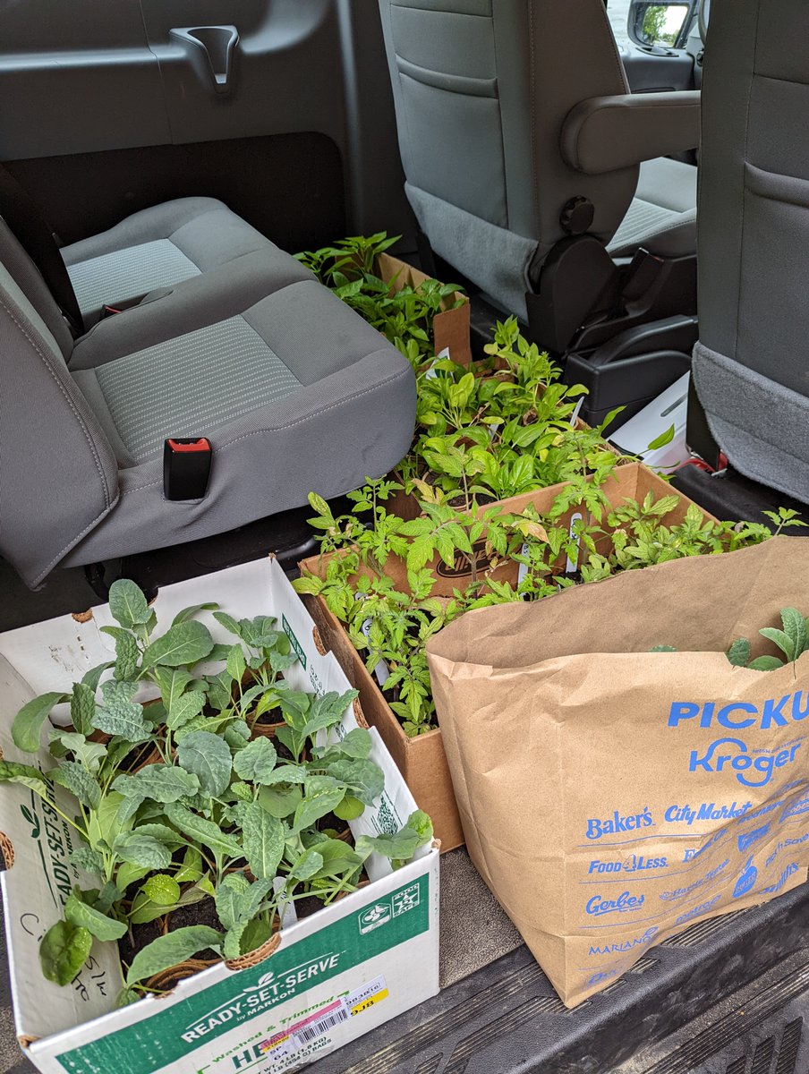 TheBridgeDCS's tweet photo. @TheBridgeDCS Ss finished their Grow-2-Serve activities by donating 300+ plants to @DublinPantry!  Thank you to @FPConservatory (seed donations), Perimeter Center @Starbucks (coffee grounds), and a special thanks to everyone else who supported us this year! @dcsemerald https://t.co/OFlfTxeVrM