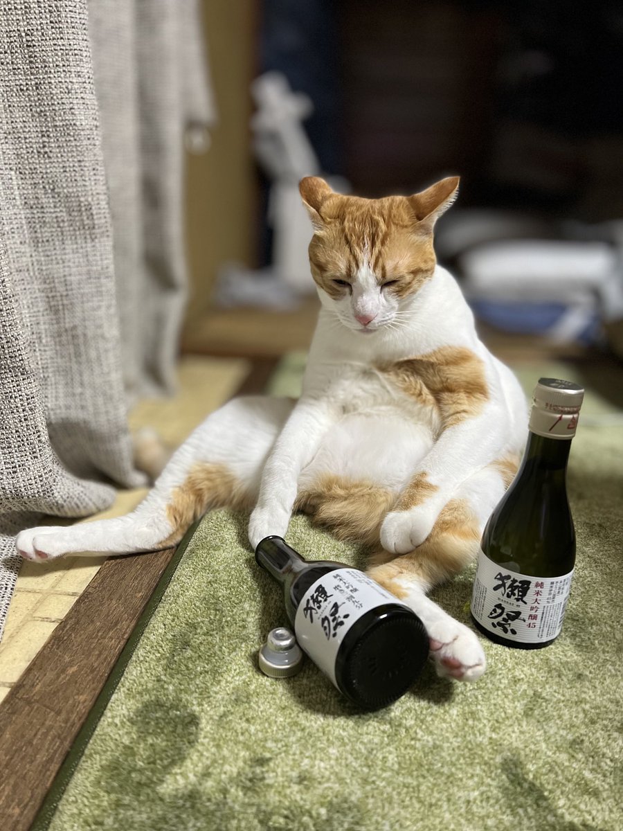 ぽーの呟き…ときどきテト (@kk26647297) / Posts / X