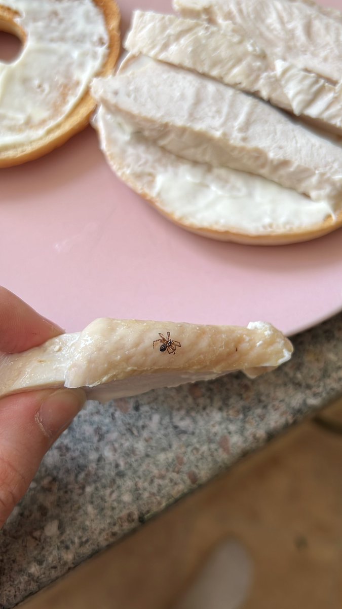 clare_rogers's tweet photo. @AldiUK EW why the hell was this on my chicken!!!!! Disgusting https://t.co/46URm0zox2