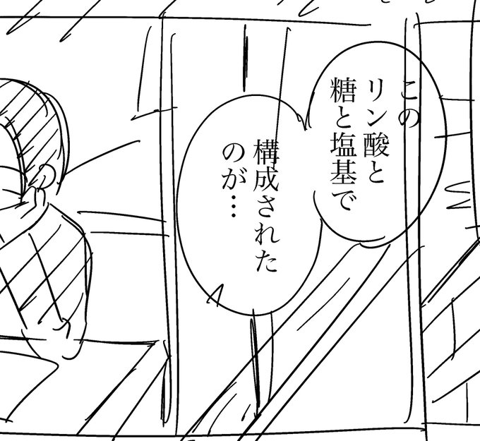 ヌクレオチド。 