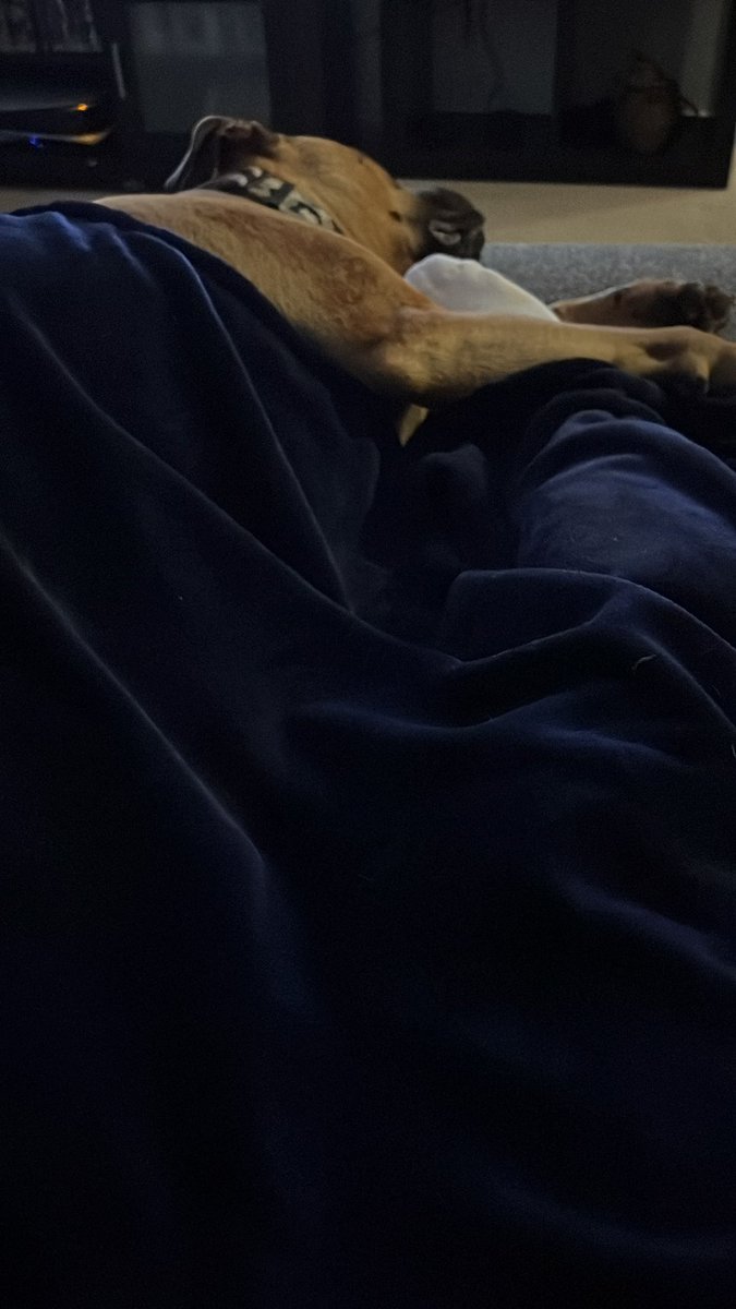 Eye of the Enemy tweet media