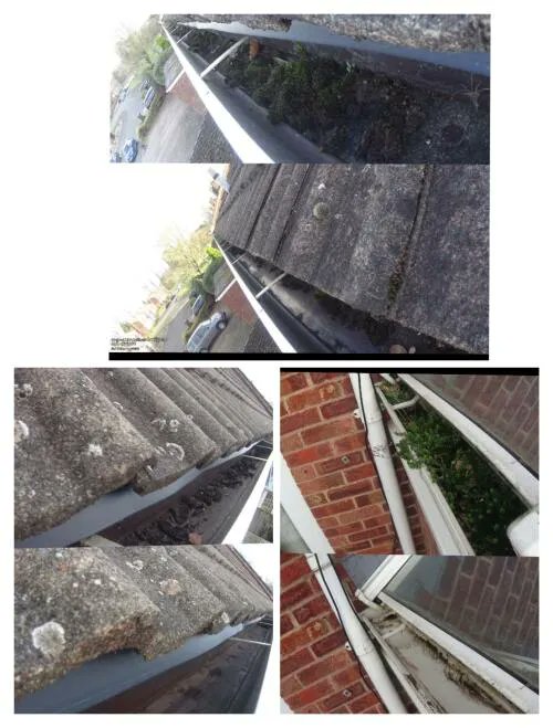 GutterProSophie's tweet image. Clean gutters = happy customers!

#guttercleaning #gutterpro