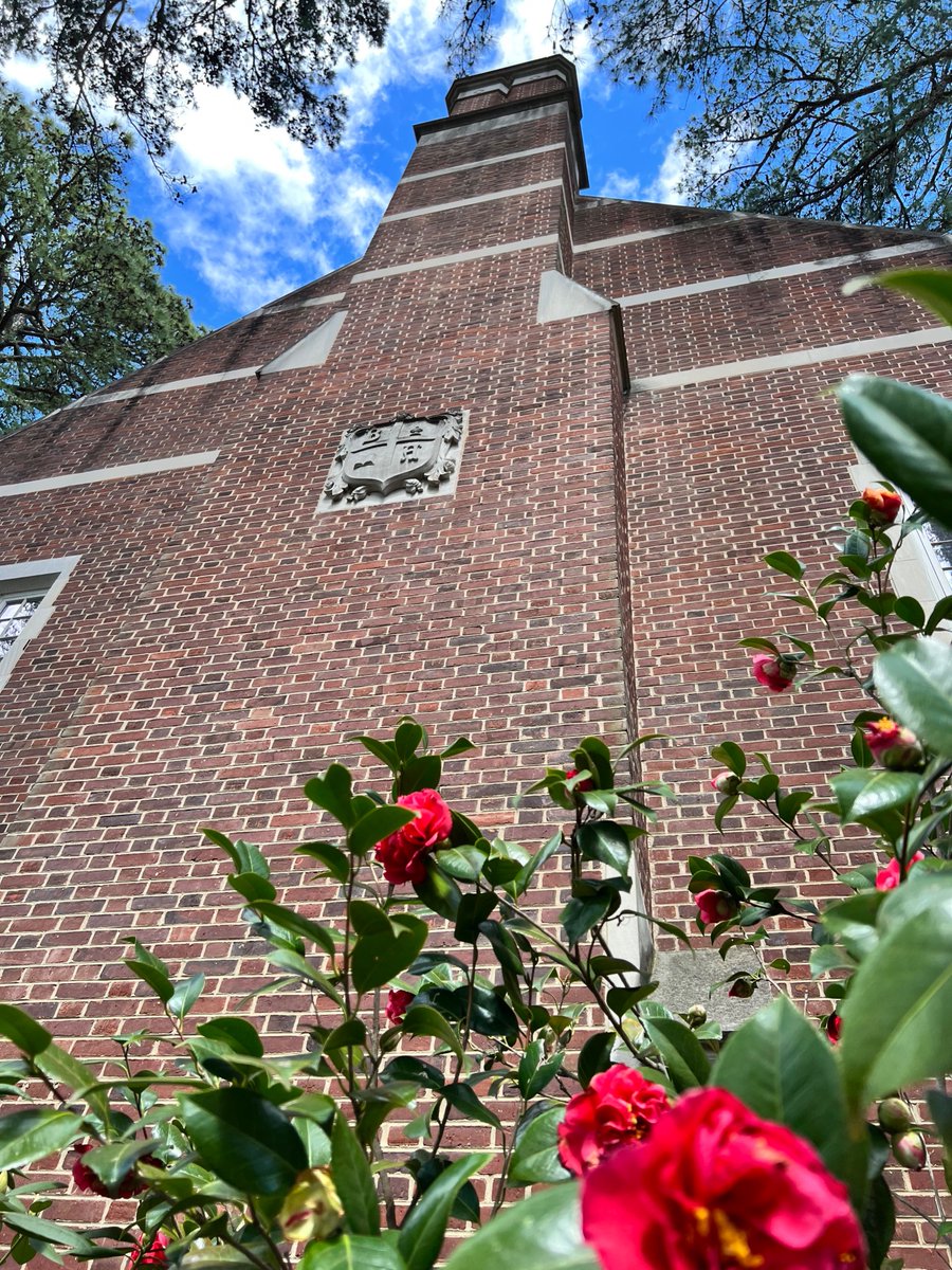 UR_RobinsSchool's tweet photo. Everything's coming up roses
🌹🕷️ https://t.co/FGsMXlxE45