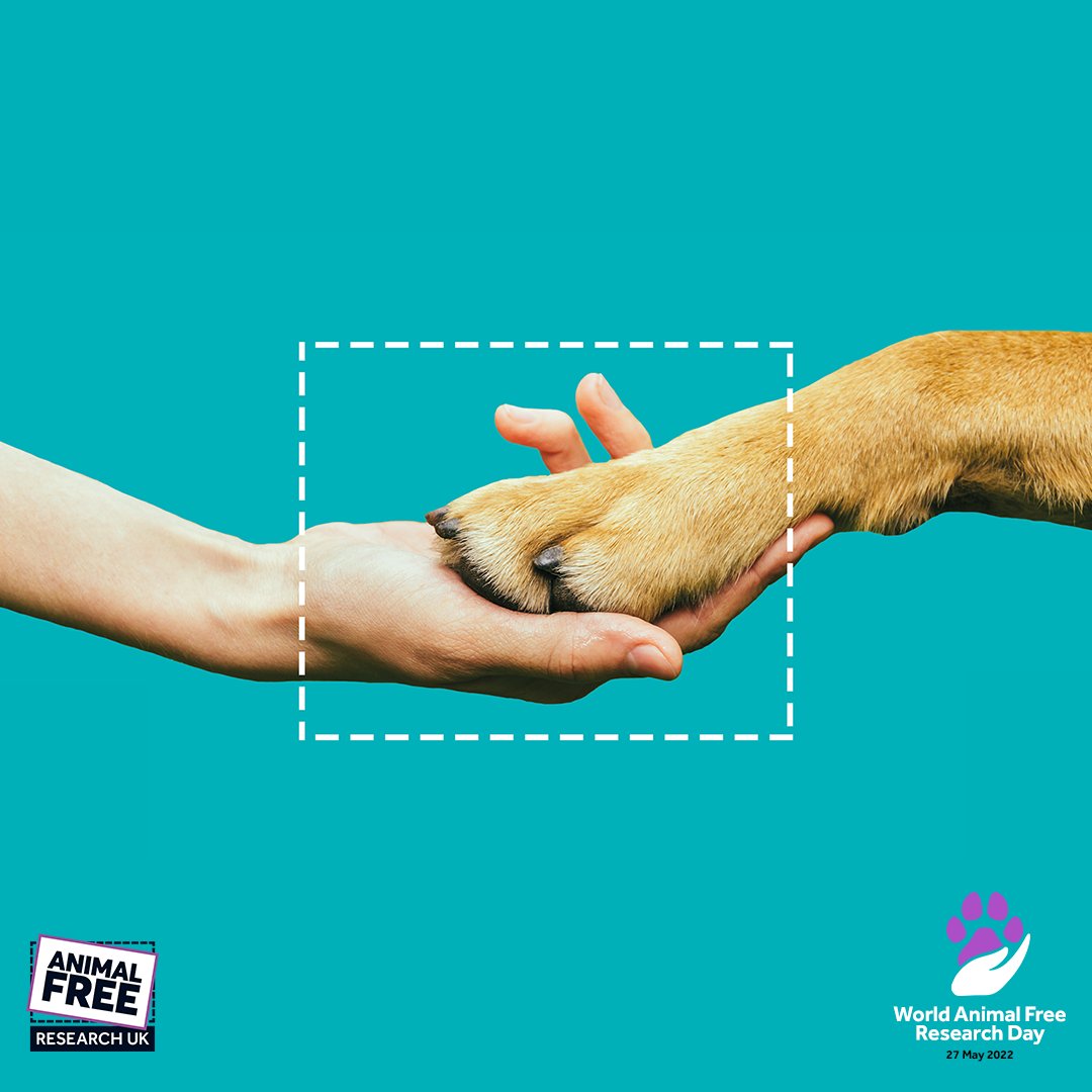 AnimalAid's tweet photo. Today is #WorldAnimalFreeResearchDay 🧬 It's time to unite to replace out-dated animal tests with cutting-edge, human relevant techniques. We stand with @AFR_UK  🐾 ✊ 🐾

#UnitedForKinderScience 
#BetterScience
#ScienceNotSacrifice https://t.co/HWVwwNkpno