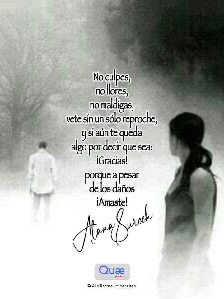 AlyDAYANA3's tweet photo. @elnodal así se vuelve reacer la vida... https://t.co/48YLSZsX8v
