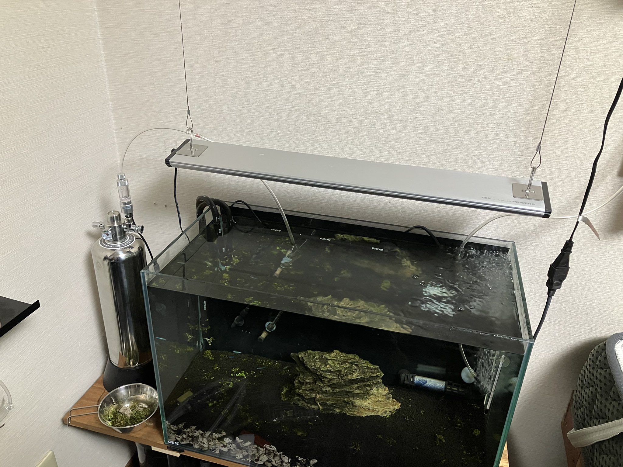 くるりずむ ガラス枠に自立する照明だったんだけど 飼育水が照明の足を伝って水槽の外にちょっとずつ垂れちゃうから 強引に天井からワイヤーで吊った 笑 Diy アクアリウム 吊り下げワイヤー自作 T Co Yendbwg09a Twitter