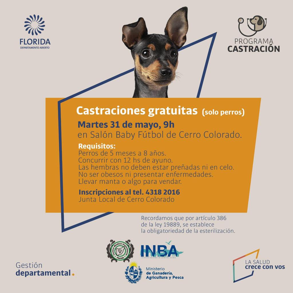 FloridaIDF's tweet photo. Continuamos con la castración de canes gratuitas en diferentes puntos del departamento, agenda de próxima semana.
#NosCuidamosEntreTodos https://t.co/XbtU1zqyke