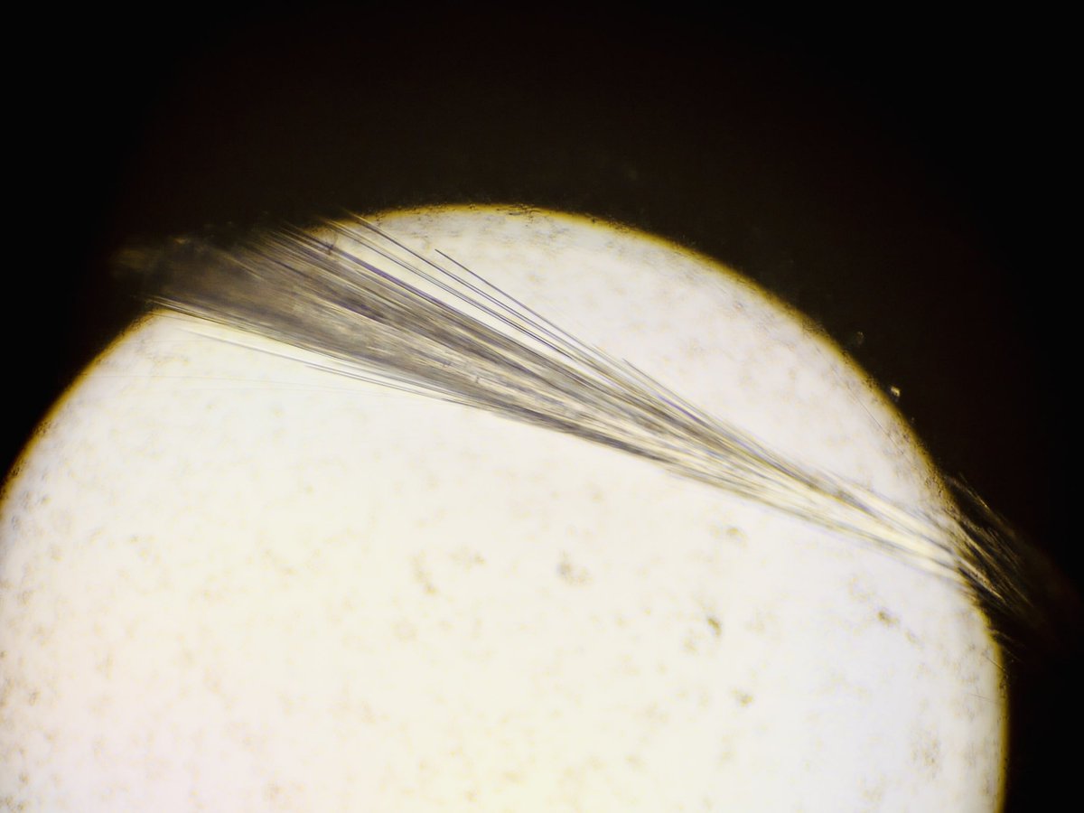 BvK LaB’s brand new crystals 💎 Always exciting to check crystal plates and find out new beauties under the microscope 🔬😊