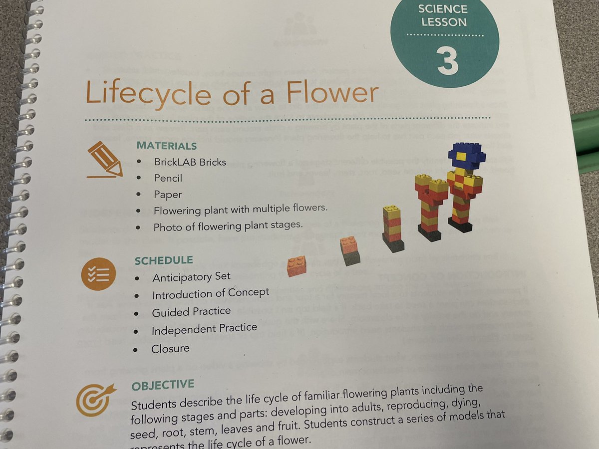 Want to know about the life cycle of a flower? Ask a second grade Wise Owl!