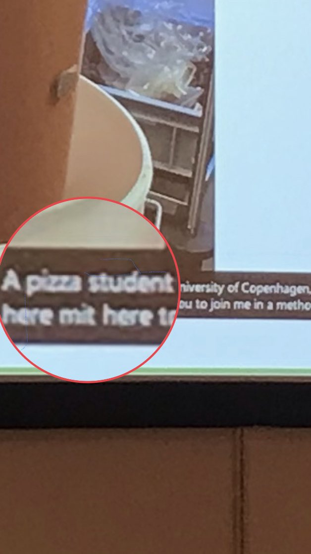 Line Vinther Hansen tweet media