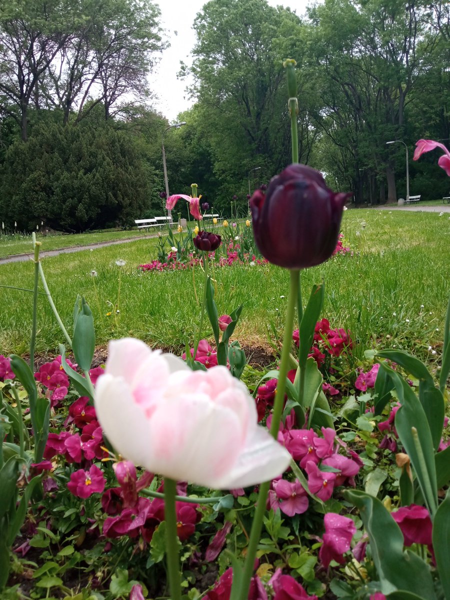 MarcinZenko's tweet image. Jestem na spacerku 😇😇😇😇 niech energia będzie z wami 😇😇😇😇