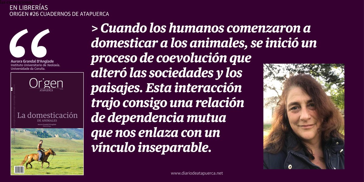 DAtapuerca's tweet photo. https://t.co/fiUerBjFzR