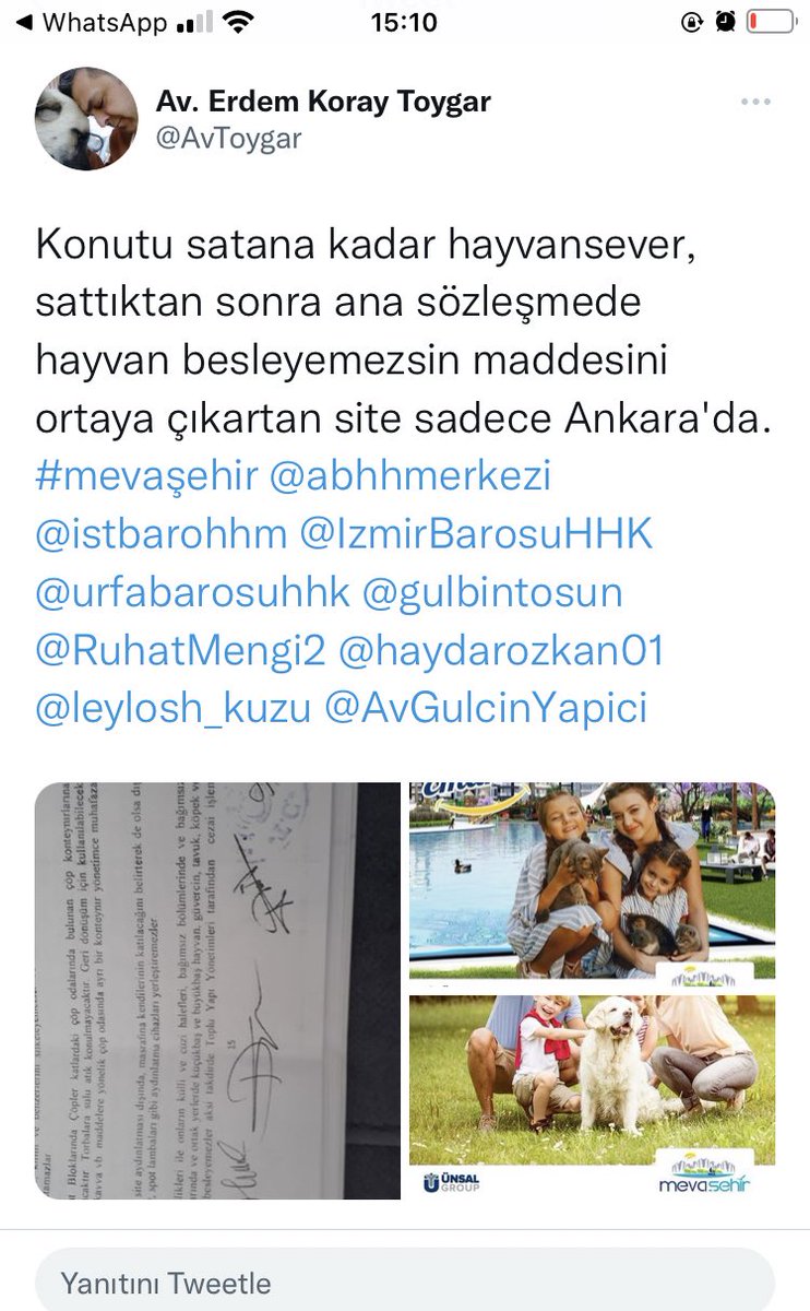 Pelin Özütürk (@ozuturkpelin) on Twitter photo 