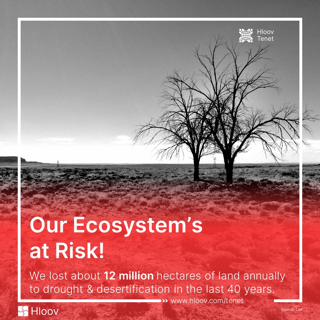 HloovTenet's tweet photo. The adoption of #drought policies that are focused on #riskreduction and which are complemented by drought #mitigation plans will play a crucial role across key sectors to move towards a resilient tomorrow.

#carbonemissions #temperaturerise #globalwarming #savetheplanet https://t.co/O7FHfVtquf