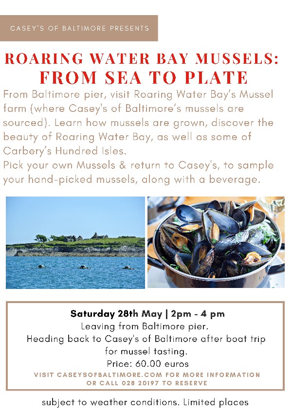 Baltimore Ireland tweet media