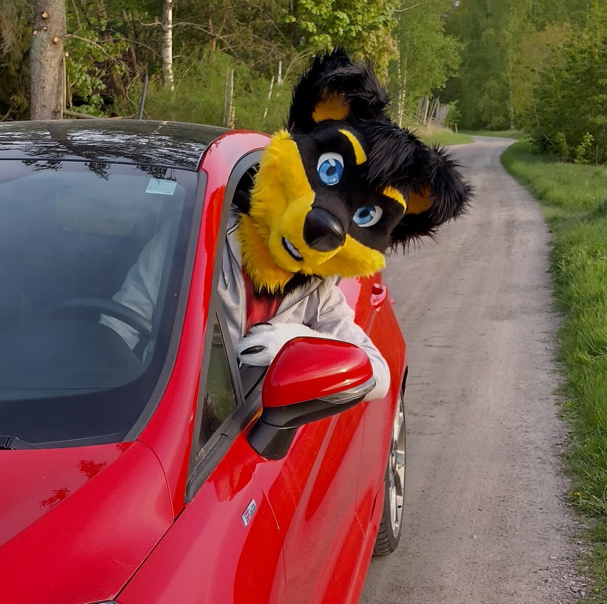 Wanna go for a ride in the Dogmobile?
<a href="/AorooHusky/">Aoroo</a>
#FursuitFriday 
📸<a href="/CapehFluff/">Capeh</a>