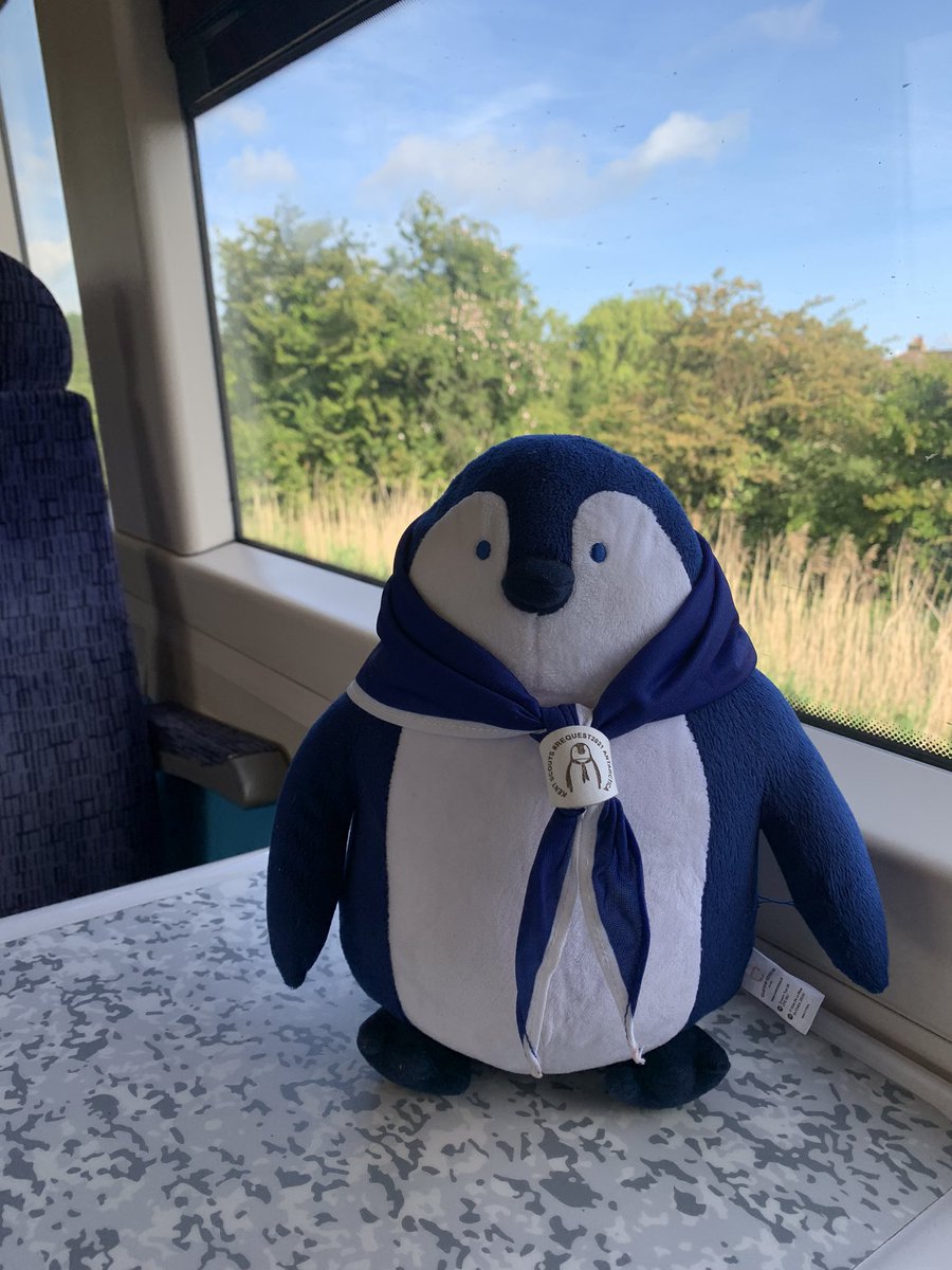 Shackleton The Penguin tweet media