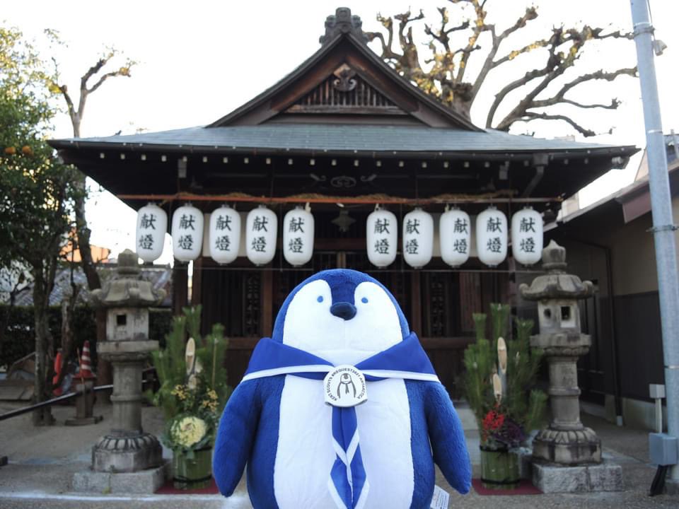 Shackleton The Penguin tweet media