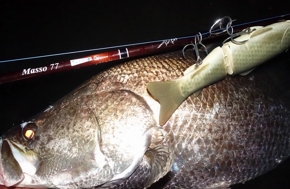 تويتر アカメ البحث في تويتر تويتر アカメ البحث في تويتر