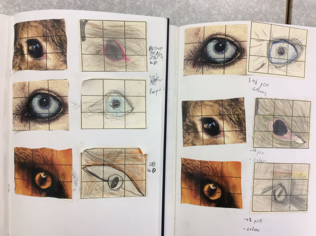 KingsleyLpool's tweet photo. #Year3 created some beautiful grid drawings of animal eyes ๐.They used various mediums and thought carefully about proportion and detail. Can you work out which animal has which eyes? #class3C #class3m #kingsleyart https://t.co/jeXU7cHPlH