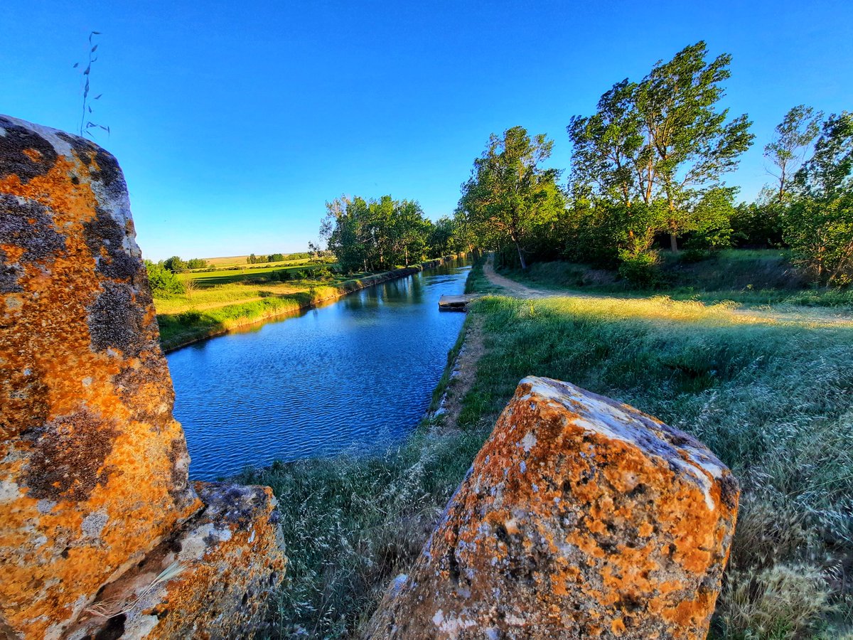 flormasom's tweet photo. Esclusa siete del #CanaldeCastilla en su Ramal de Campos cerca de Medina de Rioseco.
@TurismoMRioseco @CanalCastilla @DuoChanDe https://t.co/qlTFpmk11v