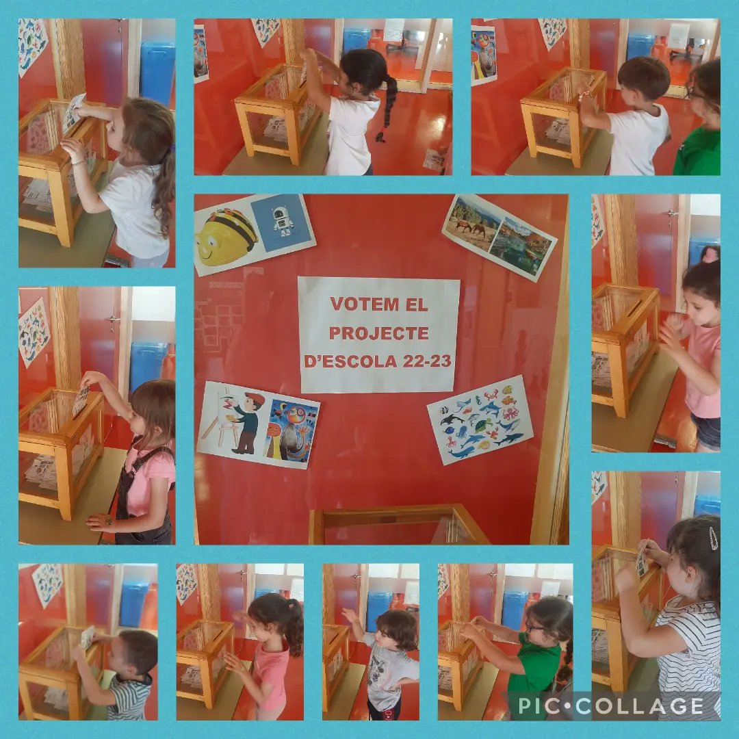 El curs s'ha acaba, però s'inicia un nou ple de projectes i aquí tenim a les científiques i científics, votant quin volen per aprendre coses noves. Què serà???🗳