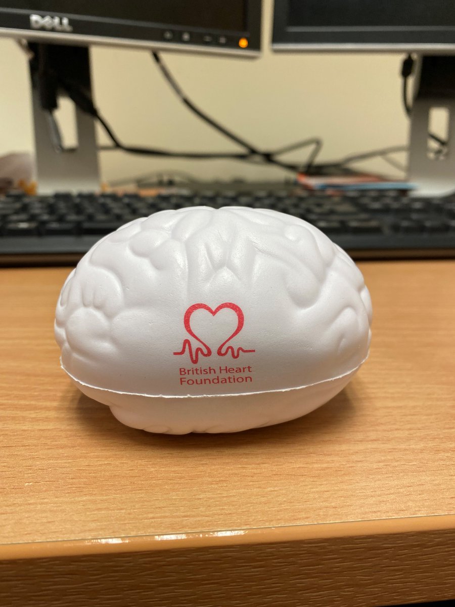 Dr Jill Fowler tweet media