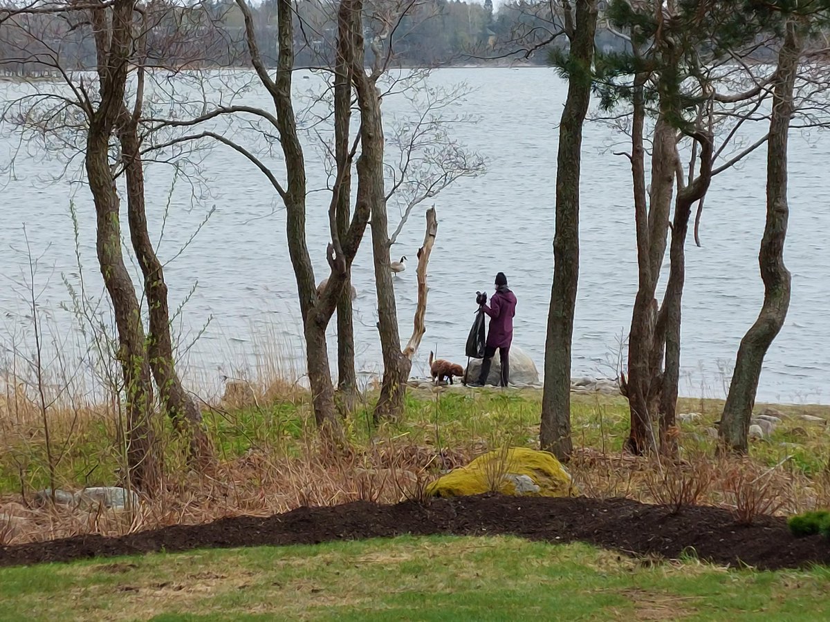 Tänä vuonna keräsimme rannoiltamme mm. 571 tupakantumppia, 400 muoviroskaa, 142 paperiroskaa ja metallia 28 kappaletta! Yhteensä erilaisia roskia oli 1249 kappaletta/I år hittade vi 1249 skräpbitar: fimpar, papper, plast och metallskrot, men också annat skräp. #siistibiitsi