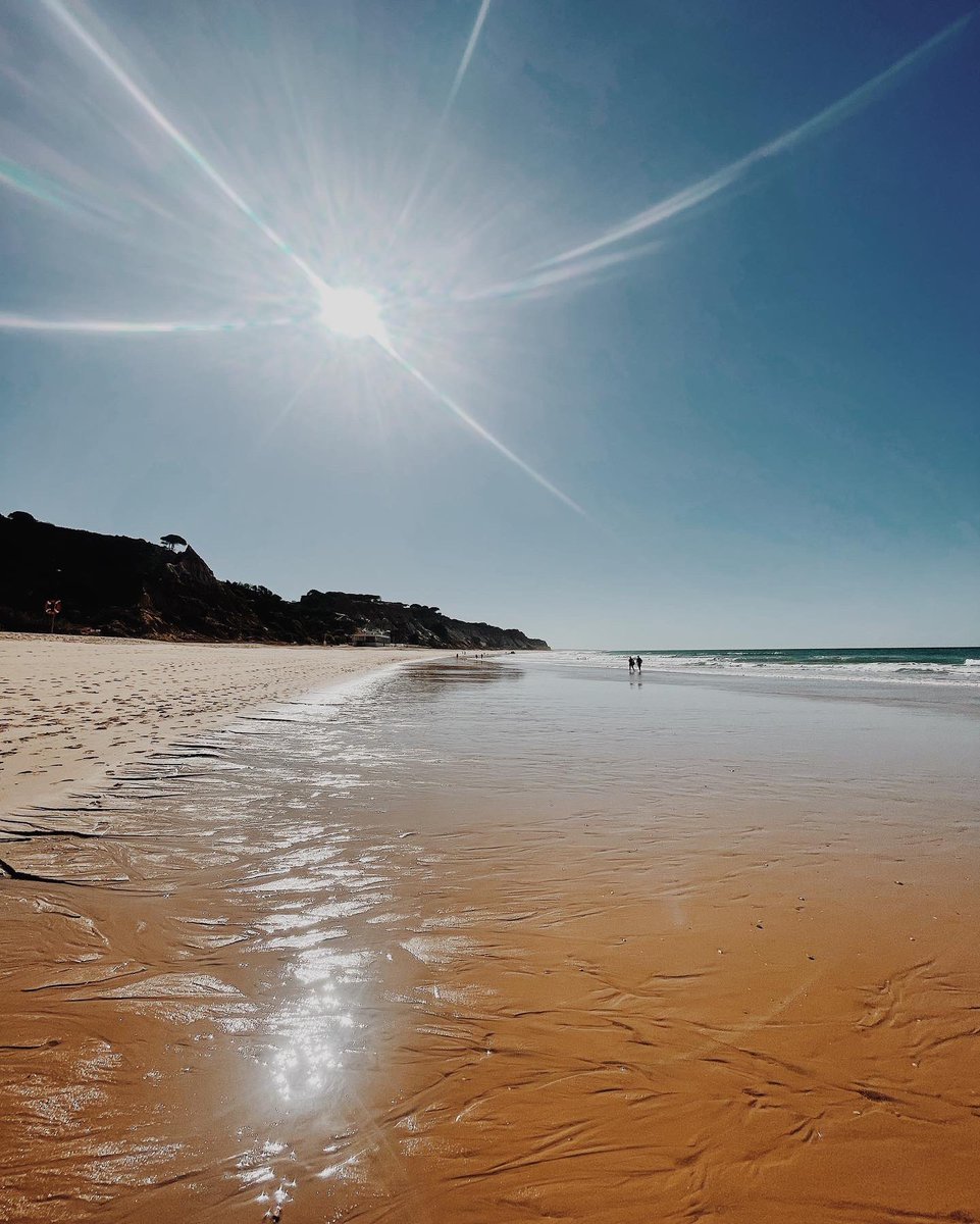 mariusnazare's tweet photo. Morning walks with perfect scenery 👌🏽  #algarve #albufeira #olhosdeagua #southportugal #sunseasand #summervibes #holidaymode #beachlife #travel #travelphotography #lifeofmmn  #aroundtheworld #travelgram #sunrise #photography https://t.co/3npESED0qY