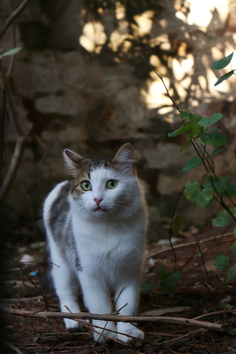 bukrenehar's tweet photo. @picvsco https://t.co/Y2vSqNgCHF