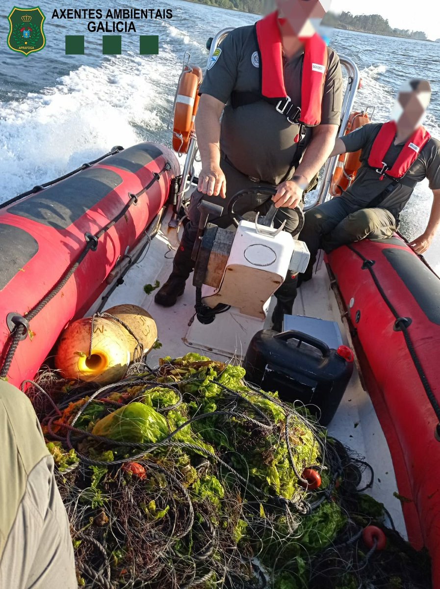 APRAFOGA's tweet image. 👮🏻‍♀️👮🏻‍♂️#AxentesAmbientais @Xunta do localizan e retiran un trasmallo da desembocadura do río Ulla. A embarcación que o largou foi identificada e 📝denunciouse ao patrón. Liberáronse as 🐟especies capturadas e comisouse a arte de pesca.
#PolicíaMedioambiental