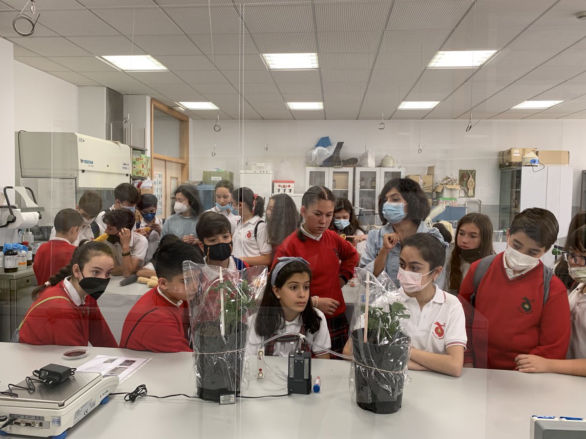 Misión Biológica de Galicia - CSIC tweet media