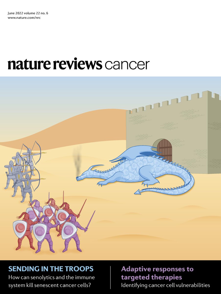 NatureRevCancer's tweet photo. Our June issue, out NOW! With articles on #therapyresistance, #senescence & targeting CDK4 & CDK6 in #cancer! Plus, a Comment on cancer mRNA vaccines as well as the launch of our new Tools of the Trade articles #NRCToT. So much content ππ»
π https://t.co/Fo6XRWV3OZ
@natrescancer https://t.co/rbxRPqLV6g