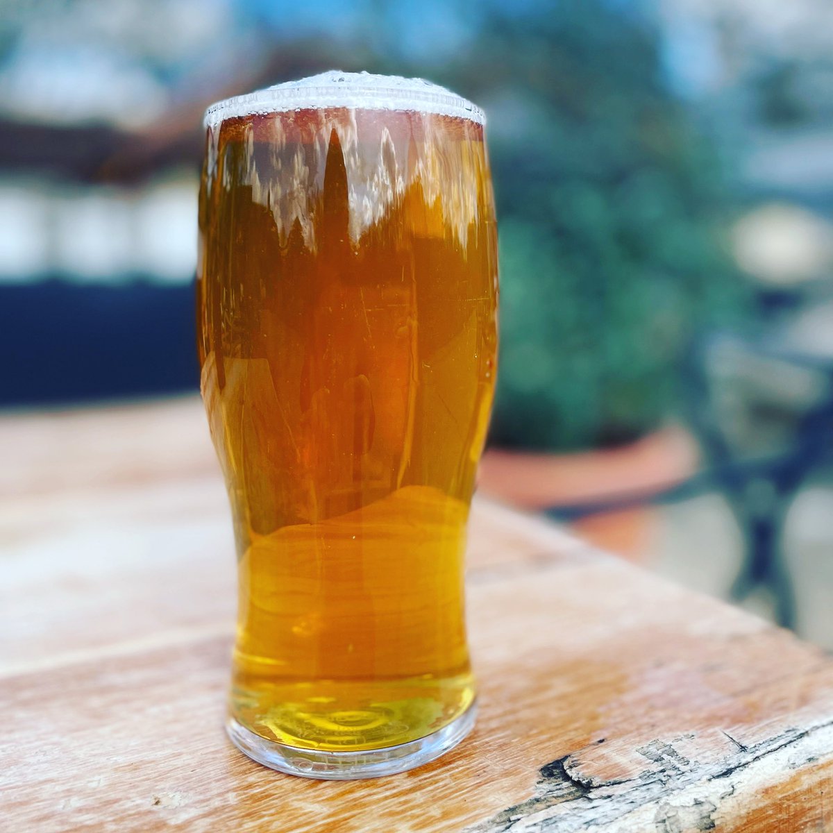 L I G H T • A N D • S U N N Y 🔆🍺

i.PL India Pale Light 3.2% a light ale dry hopped to enhance the spicy characteristic of an India Pale Ale.

#Taproom open this #Weekend
#FRI 11-8 PM
#SAT 11-10 PM *PIZZA 2.30-7 PM
#SUN 11-7 PM
#Cheers 🍻
#CraftBrewsUK