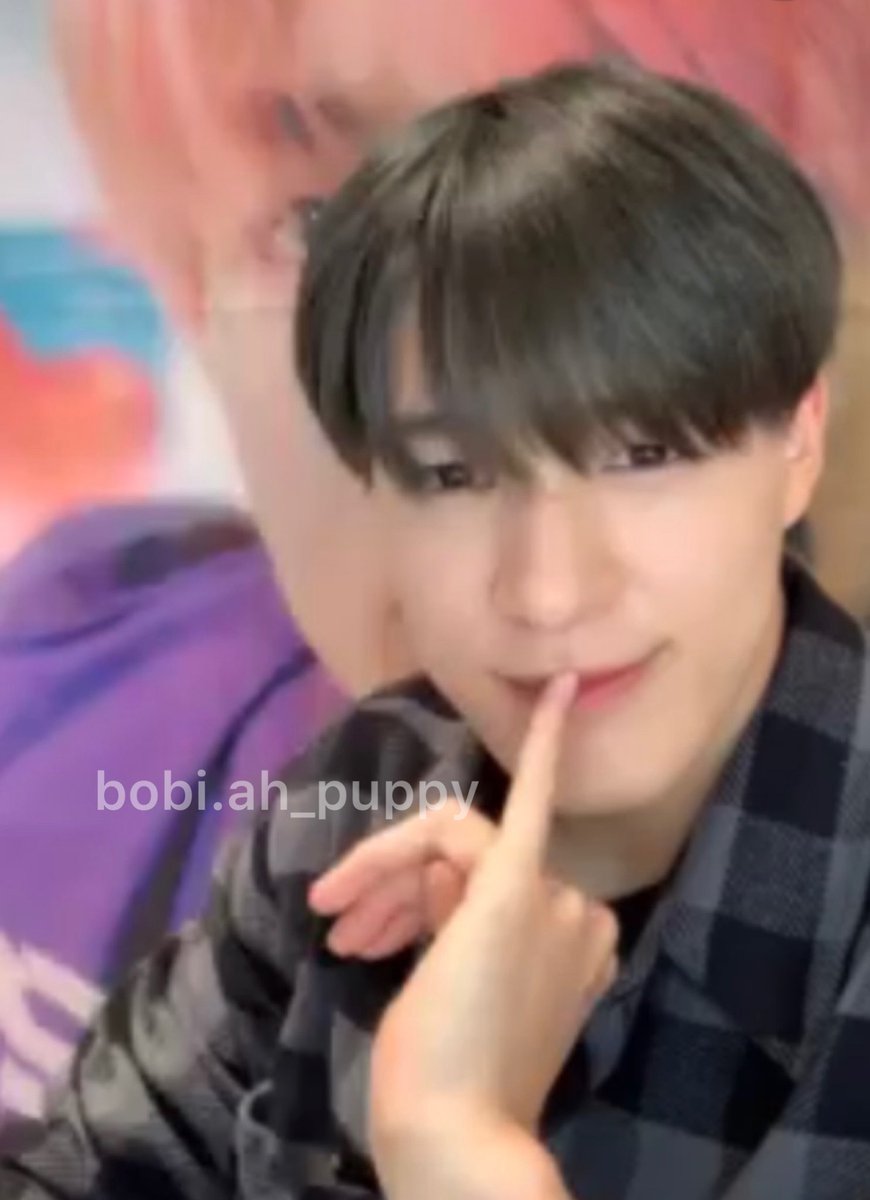 Bobi, 波比阿💘🐶 tweet media