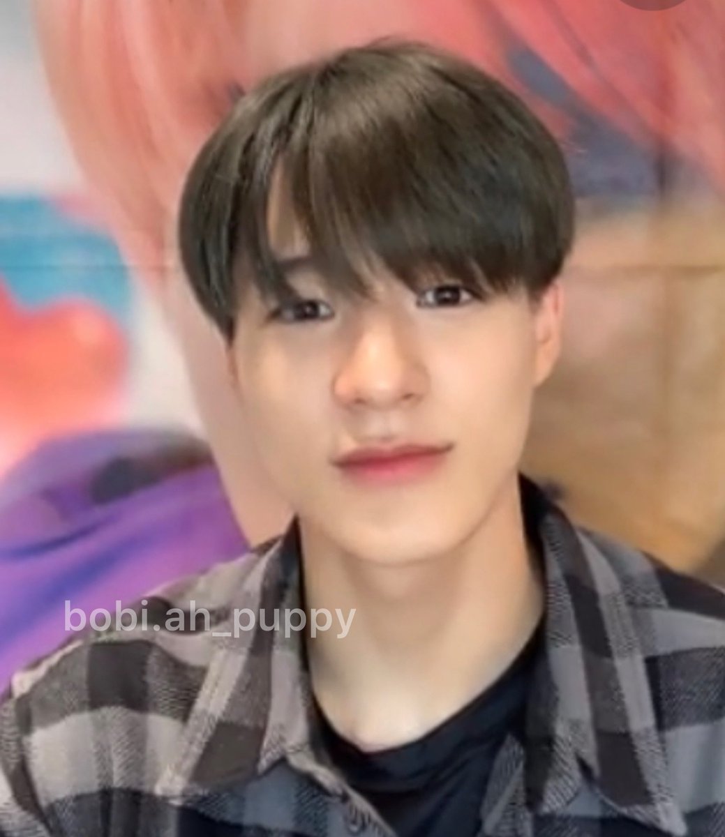 Bobi, 波比阿💘🐶 tweet media